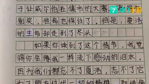 没什么比书本更吸引我的了