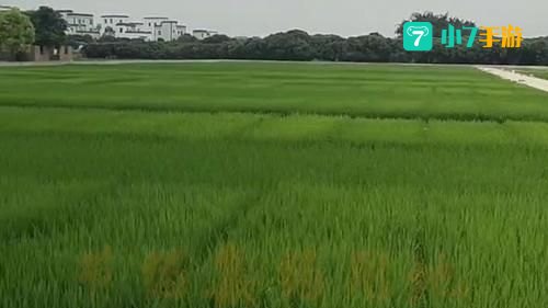 大自然孕育1厘米适合耕种的土地