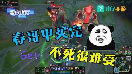 春哥甲